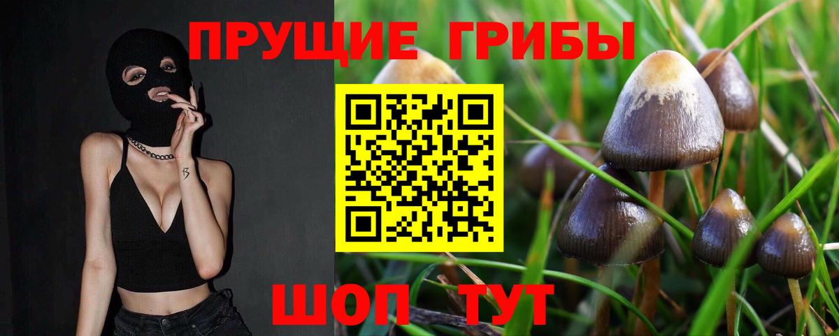 Псилоцибиновые грибы мухоморы  Вход с VPN  Курганинск 